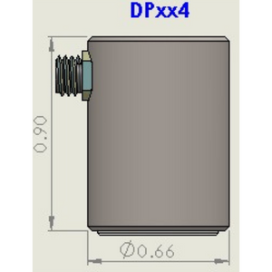DP-Style Transducer