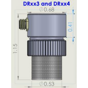 DP-Style Transducer